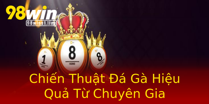 Chiến Thuật Đá Gà Hiệu Quả Từ Chuyên Gia Chiến Thuật Đá Gà Hiệu Quả Từ Chuyên Gia