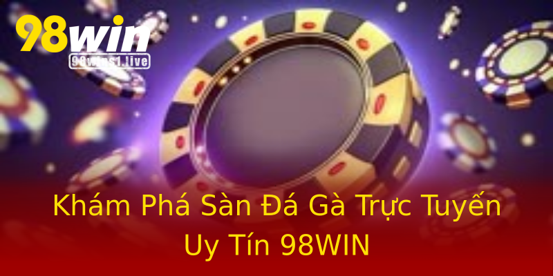 Khám Phá Sàn Đá Gà Trực Tuyến Uy Tín 98WIN Khám Phá Sàn Đá Gà Trực Tuyến Uy Tín 98WIN