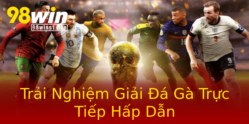 Trải Nghiệm Giải Đá Gà Trực Tiếp Hấp Dẫn Trải Nghiệm Giải Đá Gà Trực Tiếp Hấp Dẫn