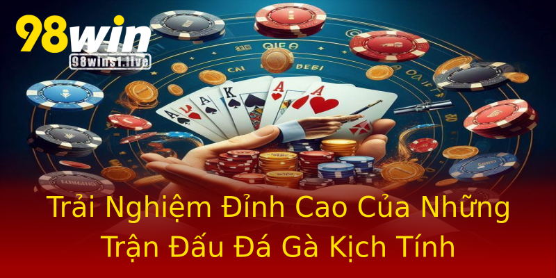 Trải Nghiệm Đỉnh Cao Của Những Trận Đấu Đá Gà Kịch Tính Trải Nghiệm Đỉnh Cao Của Những Trận Đấu Đá Gà Kịch Tính