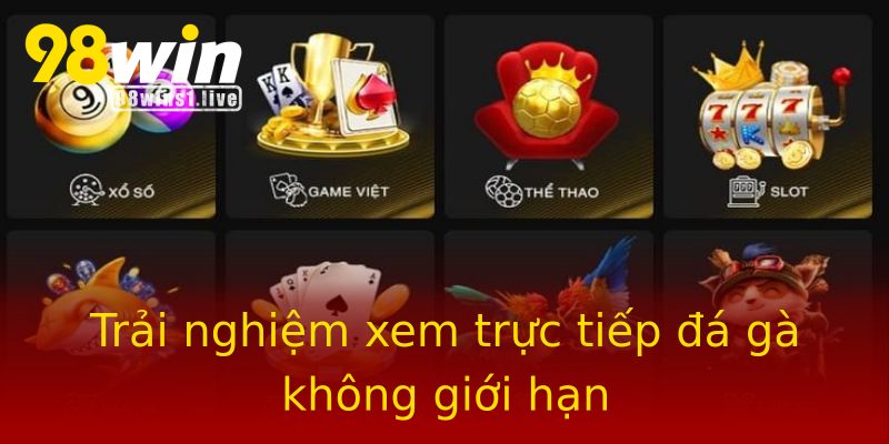 Trải nghiệm xem trực tiếp đá gà không giới hạn Trải nghiệm xem trực tiếp đá gà không giới hạn